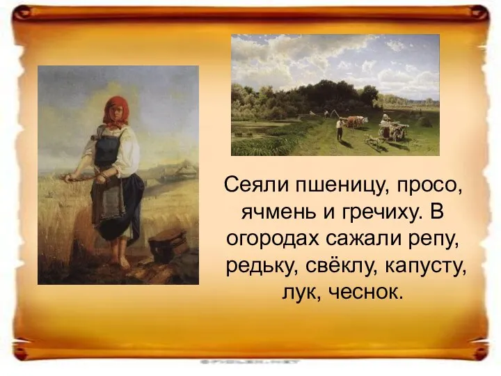 Сеяли пшеницу, просо, ячмень и гречиху. В огородах сажали репу, редьку, свёклу, капусту, лук, чеснок.