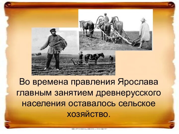 Во времена правления Ярослава главным занятием древнерусского населения оставалось сельское хозяйство.