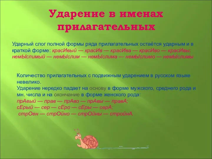 Ударение в именах прилагательных Ударный слог полной формы ряда прилагательных остаётся