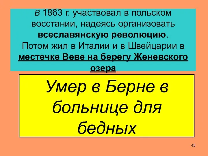 В 1863 г. участвовал в польском восстании, надеясь организовать всеславянскую революцию.