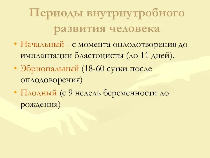 Периоды внутриутробного развития человека Начальный - с момента оплодотворения до имплантации