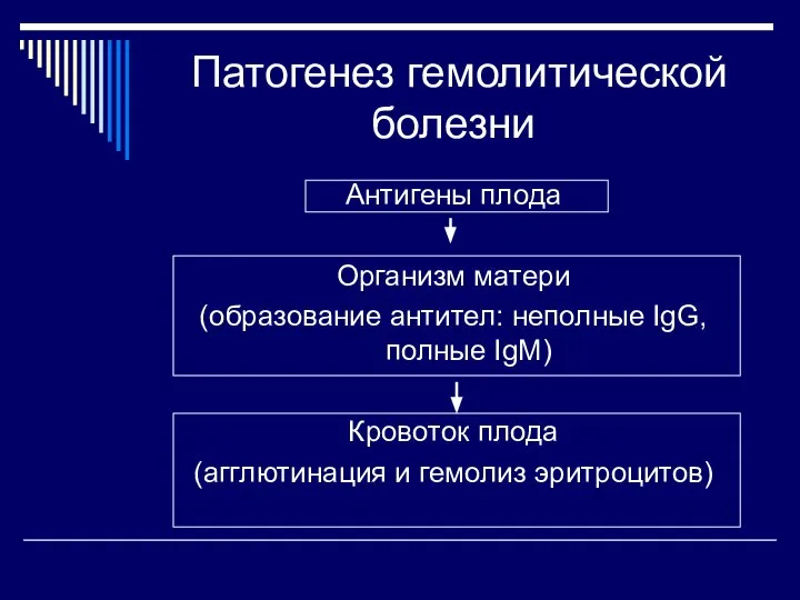 Патогенез гемолитической болезни Антигены плода Организм матери (образование антител: неполные IgG,