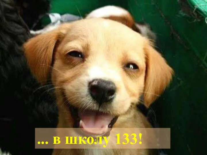 ... в школу 133!