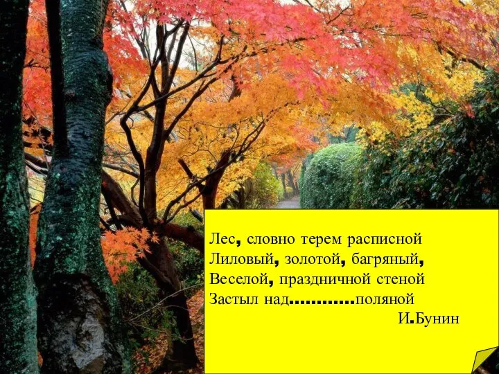 Лес, словно терем расписной Лиловый, золотой, багряный, Веселой, праздничной стеной Застыл над…………поляной И.Бунин