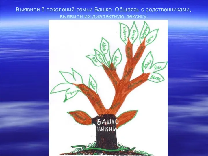 Выявили 5 поколений семьи Башко. Общаясь с родственниками, выявили их диалектную лексику.