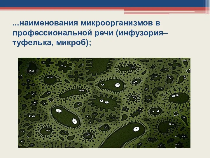 ...наименования микроорганизмов в профессиональной речи (инфузория–туфелька, микроб);