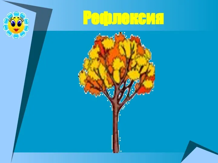 Рефлексия