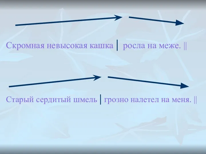 Скромная невысокая кашка | росла на меже. || Старый сердитый шмель