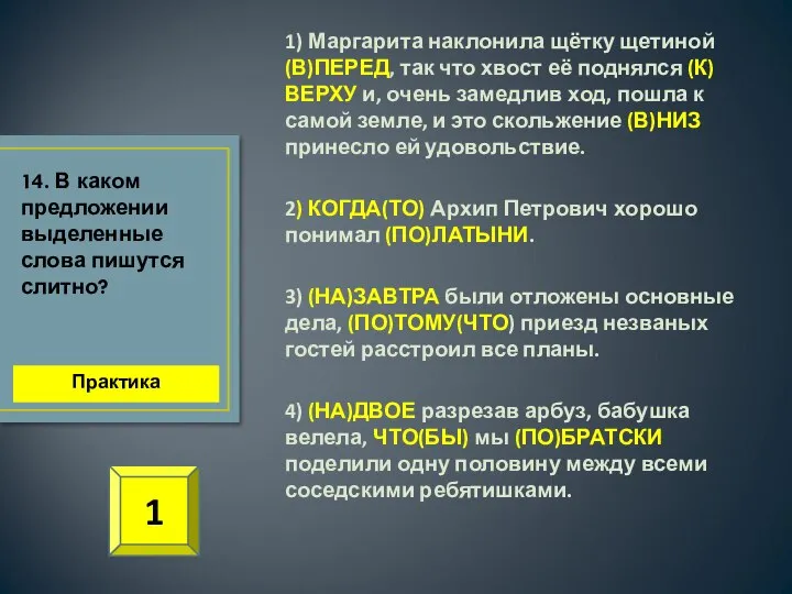 1) Маргарита наклонила щётку щетиной (В)ПЕРЕД, так что хвост её поднялся