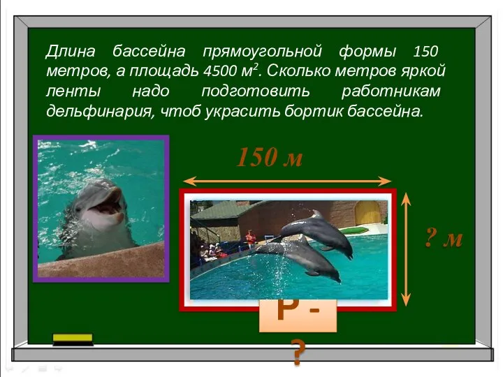 Длина бассейна прямоугольной формы 150 метров, а площадь 4500 м2. Сколько