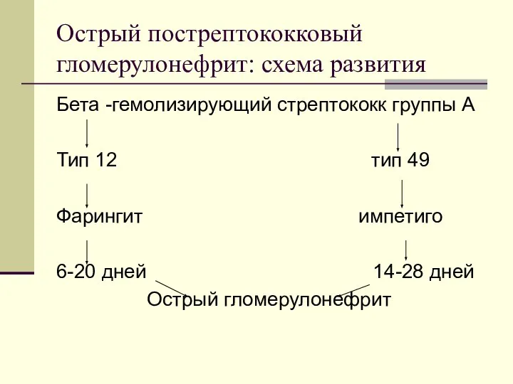 Острый пострептококковый гломерулонефрит: схема развития Бета -гемолизирующий стрептококк группы А Тип