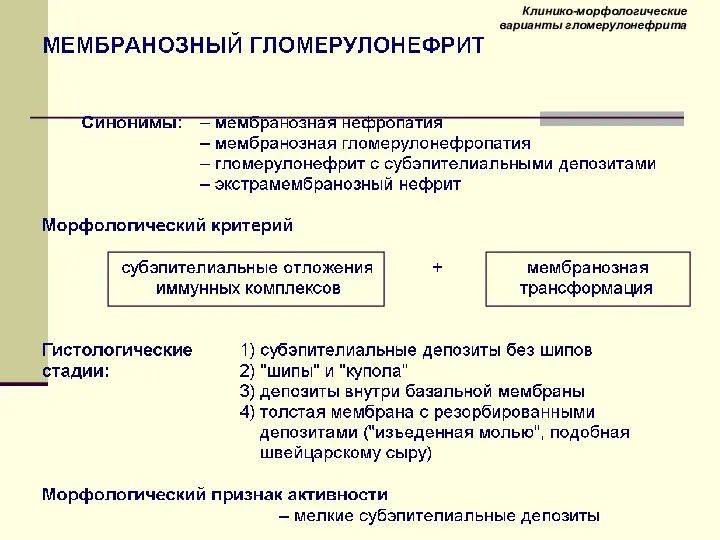 Клинико-морфологические варианты гломерулонефрита