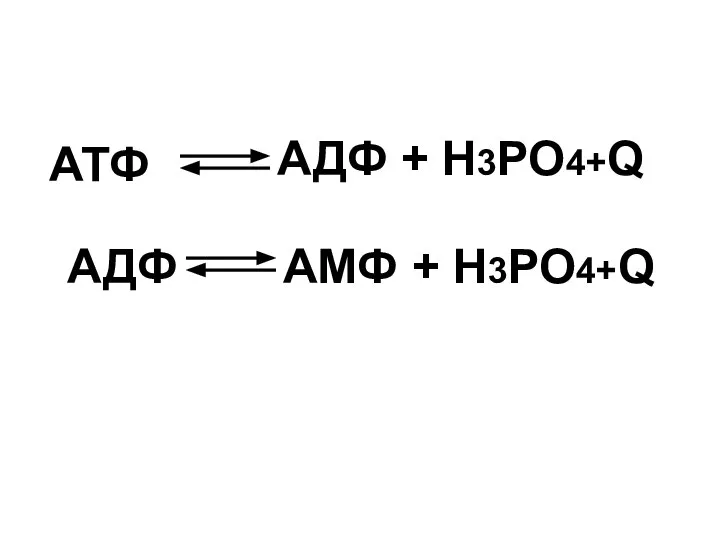 АДФ + Н3РО4+Q АМФ + Н3РО4+Q АТФ АДФ