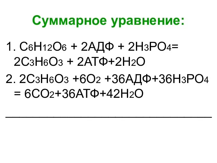 Суммарное уравнение: 1. С6Н12О6 + 2АДФ + 2Н3РО4= 2С3Н6О3 + 2АТФ+2Н2О