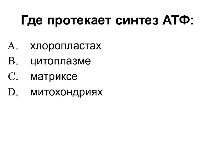 Где протекает синтез АТФ: хлоропластах цитоплазме матриксе митохондриях