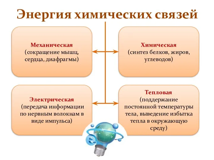 Энергия химических связей Механическая (сокращение мышц, сердца, диафрагмы) Химическая (синтез белков,