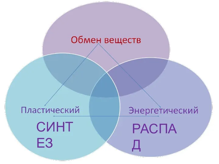 СИНТЕЗ РАСПАД