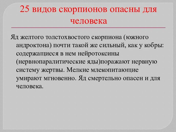 25 видов скорпионов опасны для человека Яд желтого толстохвостого скорпиона (южного