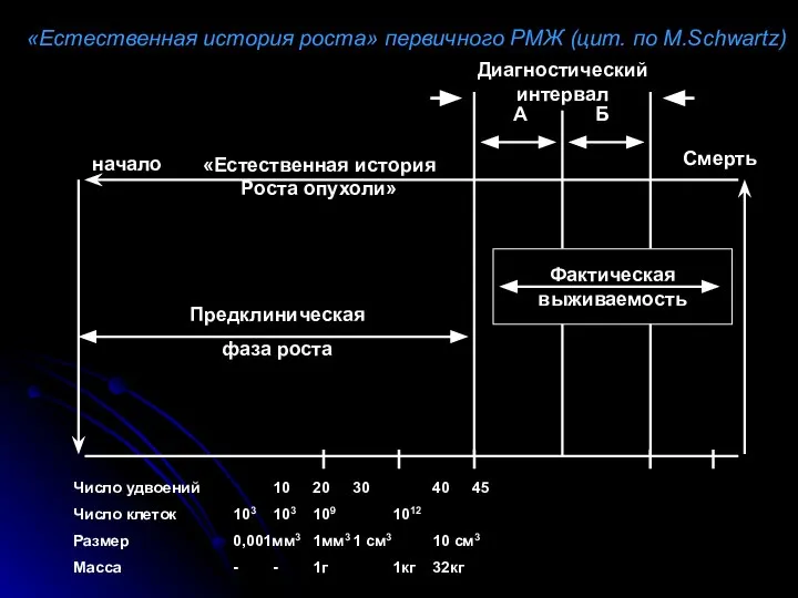 «Естественная история роста» первичного РМЖ (цит. по M.Schwartz) Число удвоений 10