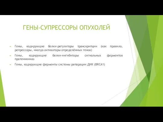 ГЕНЫ-СУПРЕССОРЫ ОПУХОЛЕЙ Гены, кодирующие белки-регуляторы транскрипции (как правило, репрессоры, иногда активаторы