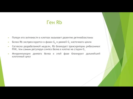 Ген Rb Потеря его активности в клетках вызывает развитие ретинобластомы Белок