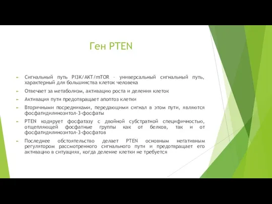 Ген PTEN Сигнальный путь PI3K/AKT/mTOR – универсальный сигнальный путь, характерный для