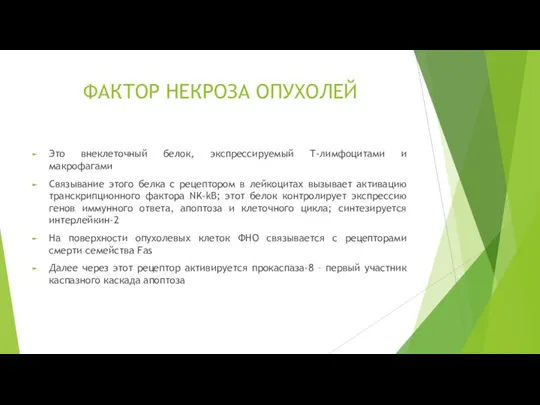 ФАКТОР НЕКРОЗА ОПУХОЛЕЙ Это внеклеточный белок, экспрессируемый Т-лимфоцитами и макрофагами Связывание