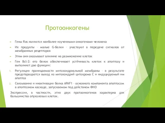 Протоонкогены Гены Ras являются наиболее изученными онкогенами человека Их продукты –