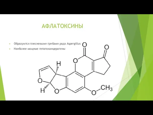 АФЛАТОКСИНЫ Образуются плесневыми грибами рода Aspergillus Наиболее мощные гепатоканцерогены