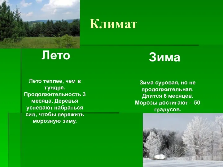 Климат Лето Зима Лето теплее, чем в тундре. Продолжительность 3 месяца.