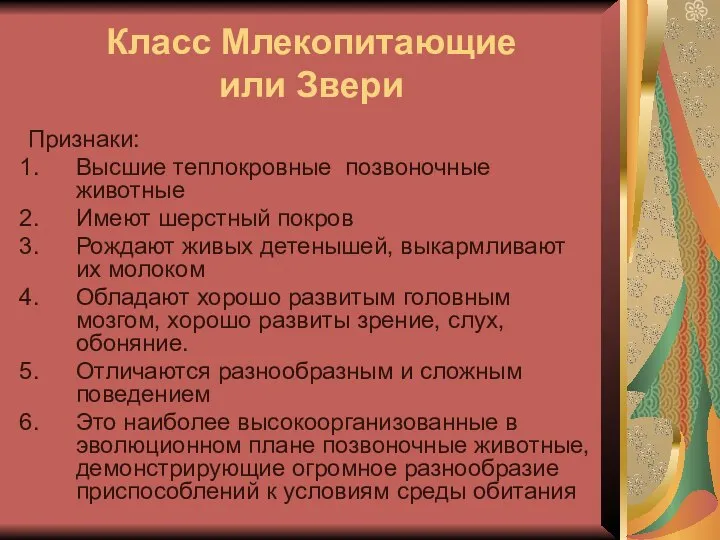 Класс Млекопитающие или Звери Признаки: Высшие теплокровные позвоночные животные Имеют шерстный