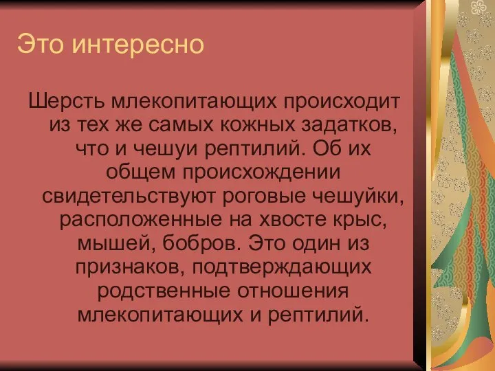 Это интересно Шерсть млекопитающих происходит из тех же самых кожных задатков,