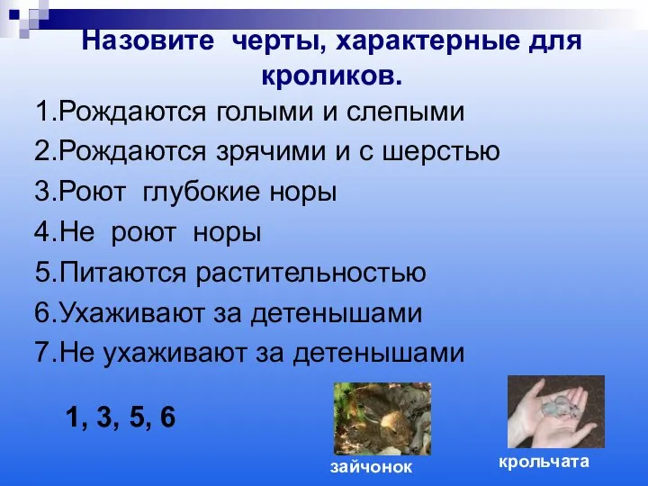 Назовите черты, характерные для кроликов. 1.Рождаются голыми и слепыми 2.Рождаются зрячими