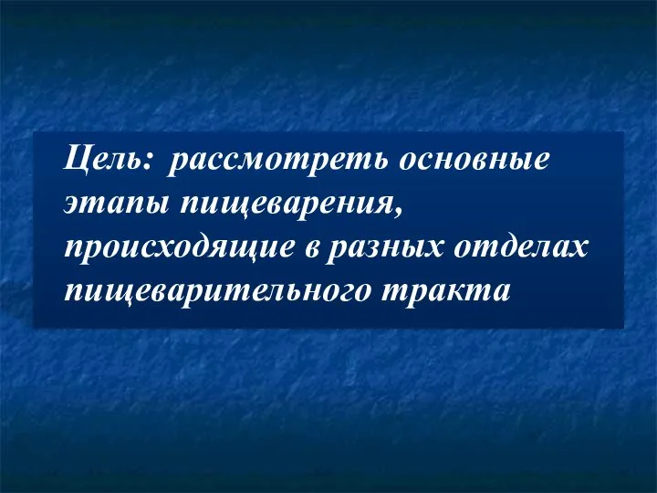 Цель: рассмотреть основные этапы пищеварения, происходящие в разных отделах пищеварительного тракта