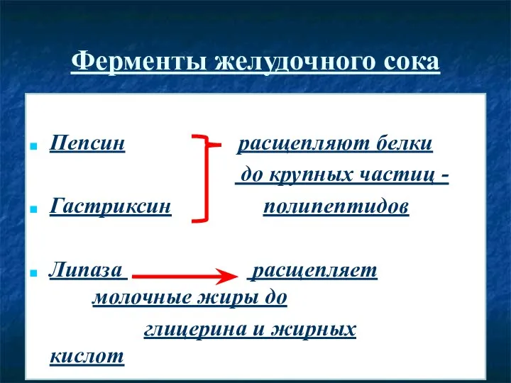 Ферменты желудочного сока Пепсин расщепляют белки до крупных частиц - Гастриксин