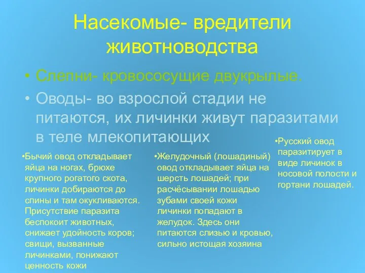 Насекомые- вредители животноводства Слепни- кровососущие двукрылые. Оводы- во взрослой стадии не