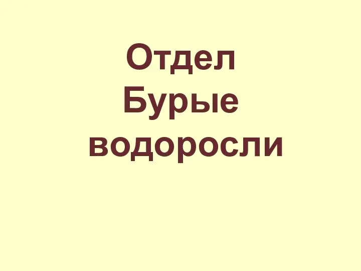 Отдел Бурые водоросли