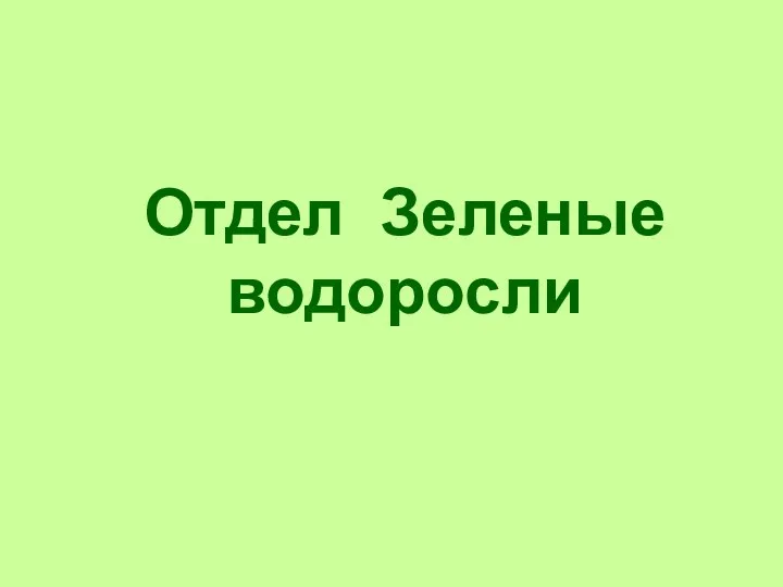 Отдел Зеленые водоросли