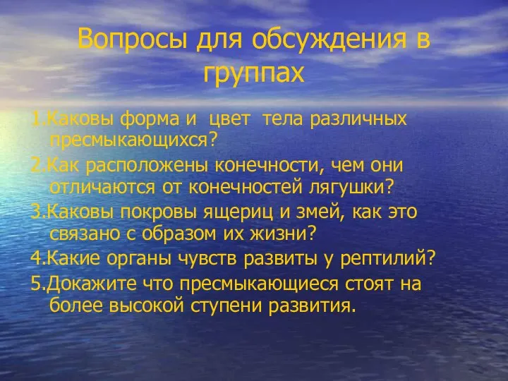 Вопросы для обсуждения в группах 1.Каковы форма и цвет тела различных