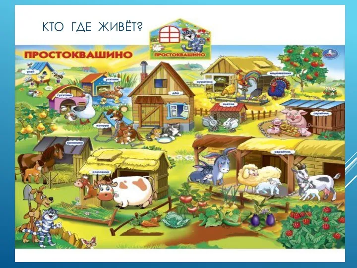 КТО ГДЕ ЖИВЁТ?