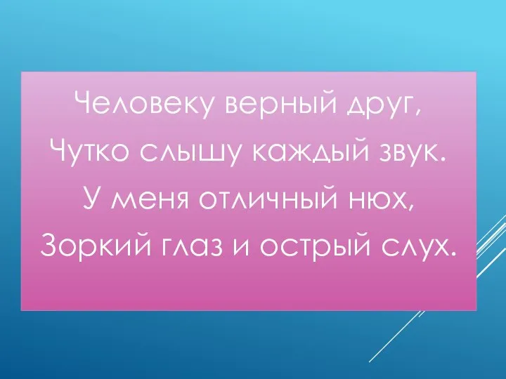 Человеку верный друг, Чутко слышу каждый звук. У меня отличный нюх, Зоркий глаз и острый слух.