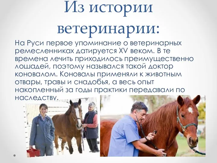 Из истории ветеринарии: На Руси первое упоминание о ветеринарных ремесленниках датируется