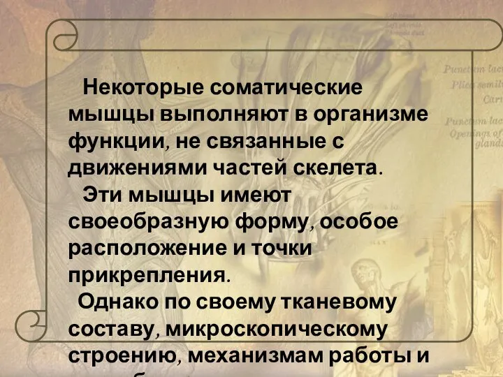 Некоторые соматические мышцы выполняют в организме функции, не связанные с движениями