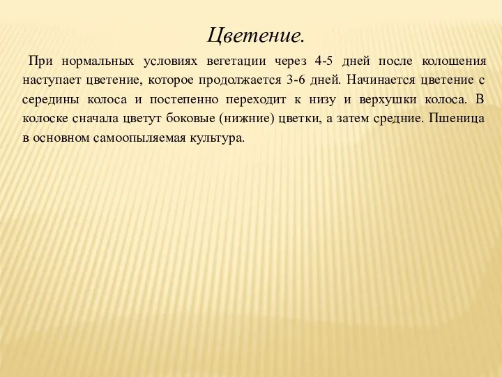 Цветение. При нормальных условиях вегетации через 4-5 дней после колошения наступает