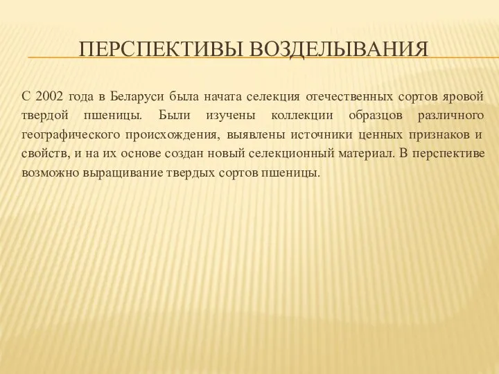 Перспективы возделывания С 2002 года в Беларуси была начата селекция отечественных