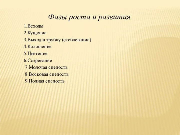 Фазы роста и развития 1.Всходы 2.Кущение 3.Выход в трубку (стеблевание) 4.Колошение