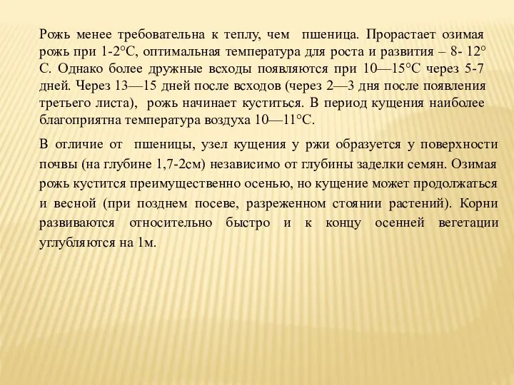 Рожь менее требовательна к теплу, чем пшеница. Прорастает озимая рожь при