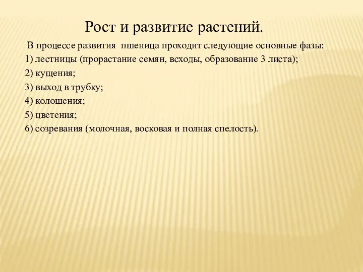 Рост и развитие растений. В процессе развития пшеница проходит следующие основные