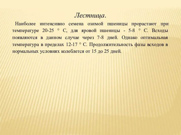 Лестница. Наиболее интенсивно семена озимой пшеницы прорастают при температуре 20-25 °