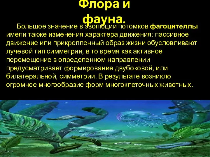 Флора и фауна. Большое значение в эволюции потомков фагоцителлы имели также